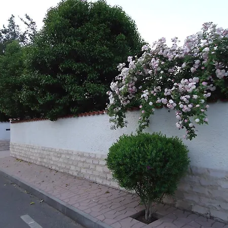 Giardino Di Pan Bed & Breakfast Castel Fusano